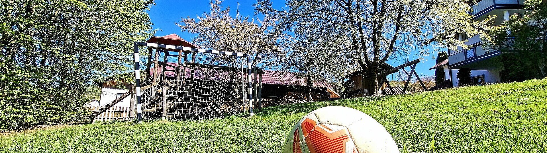 Fußball und Tor auf der Spielwiese